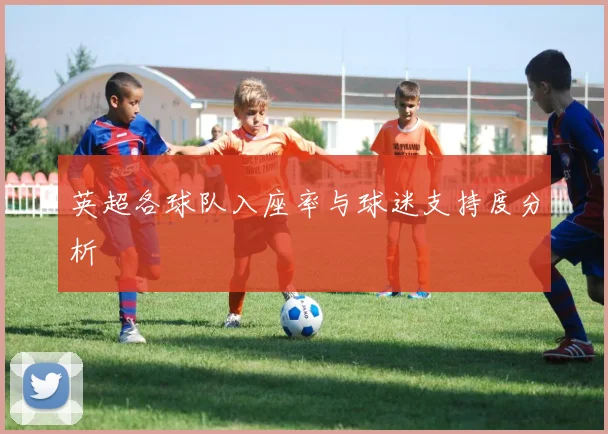 英超各球队入座率与球迷支持度分析