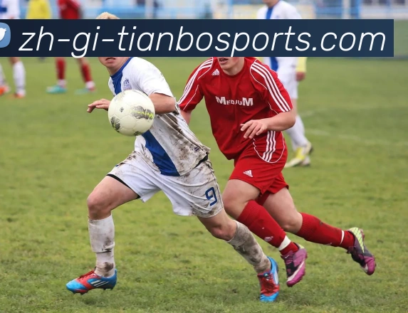 天博体育平台生态图